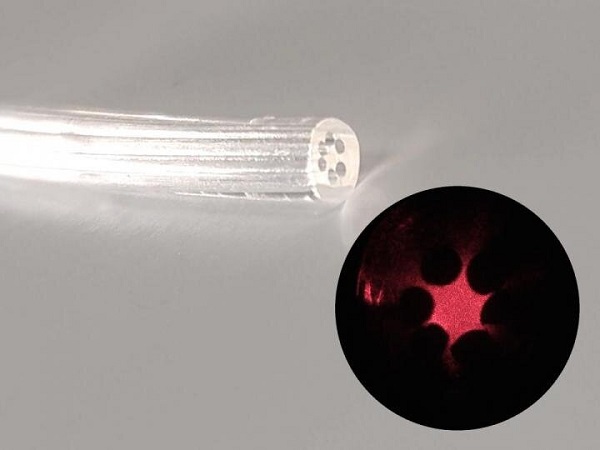 Исследователи разрабатывают оптическое волокно из геля, полученного из морских водорослей